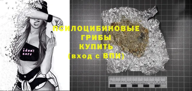 Галлюциногенные грибы MAGIC MUSHROOMS  как найти закладки  Канаш 